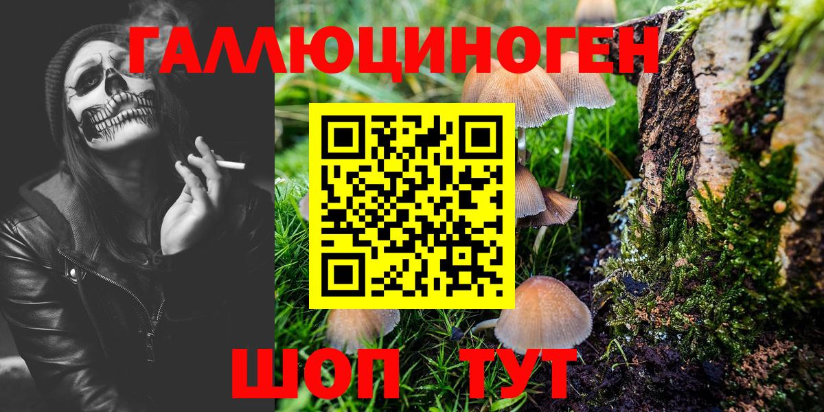 купить наркотик  Галлюциногенные грибы мицелий  Псилоцибиновые грибы Cubensis  Вход с VPN  Майкоп 