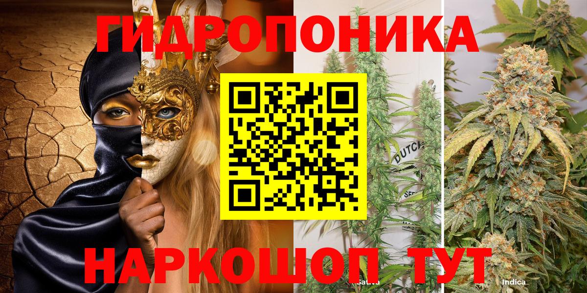 Конопля индика  Конопля планчик  Майкоп  Вход с VPN 